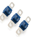 Hella Reliable Heavy Duty Midi Fuses 100 Amp High Current Pack Of 3 with blue housing and tin terminals for circuit protection.