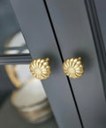 Brushed Gold Cabinet Knobs Set Of 10 Brass Drawer Pulls For Kitchen Cupboards And Bathroom Dresser Zinc Alloy Hardware With Dope Pumpkin Inspired Design Durable Solid Metal Build Easy Install