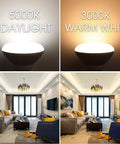 Energy Star BR30 LED Flood Light Bulbs 65W Equivalent Dimmable comparison of 5000K Daylight and 3000K Warm White lighting for living rooms