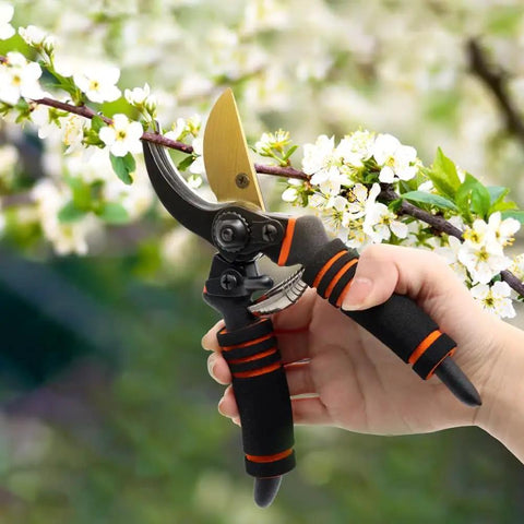 Heavy Duty Pruning Shears For Garden Work With Foam Grip Handles, Bypass Hand Pruners And Eight Inch Garden Clippers For Plant Cutting And Hedge Trimming, Pro Grade Stainless Steel Blades Cut Up To Three Quarters Of An Inch being used to trim a branch with white flowers.