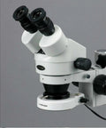 Pro Grade Binocular Stereo Zoom Microscope With Boom Stand, 7X To 45X Magnification, 0.7X To 4.5X Zoom Objective, 80 LED Ring Light, WH10x Eyepieces, Long Working Distance For Circuit Boards And Dental Gear, Maker Friendly. White binocular microscope head with eyepieces