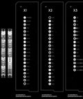 64 In 1 Mini Electric Screwdriver Kit with Dual Mode Cordless Lithium Battery LED Shadowless Light 56 Bit Set layout
