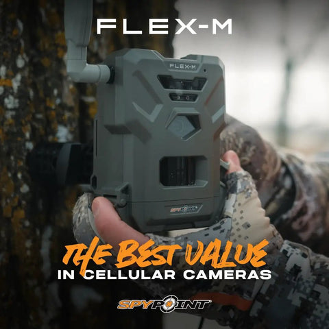 Top Shelf Cellular Trail Camera Duo Featuring Smart Gps Mapping, Hella Bright Night Vision Grabbing 28Mp Pics And 720p Clips, Ip65 Rugged Game Cam Setup For Hunters Craving Real Time Wireless Monitoring Without Wifi Hassle on tree in camouflage hand.