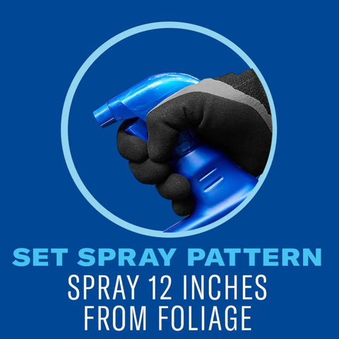 3 In 1 Insect Disease And Mite Control Spray Ready To Use For Plants Kills Armyworms Aphids Spider Mites Japanese Beetles Caterpillars And More Preventing Powdery Mildew Black Spot And Other Plant Diseases For Up To 30 Days Of Protection 24 Oz spray pattern demonstration with gloved hand