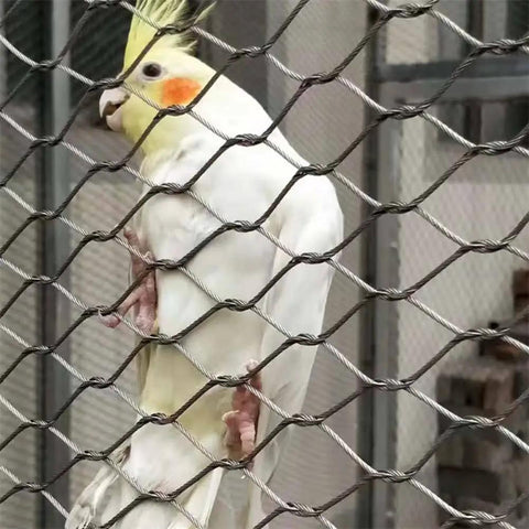 Built Like A Tank 304 Stainless Steel Flexible Cable Safety Net For Balcony Stair Guards, No Sweat Child Pet Barrier Mesh, Heavy Duty Braided Wire Fence Panel Kit 1.5mm X 1.5By2Meters Silver with a cockatiel behind metal mesh.