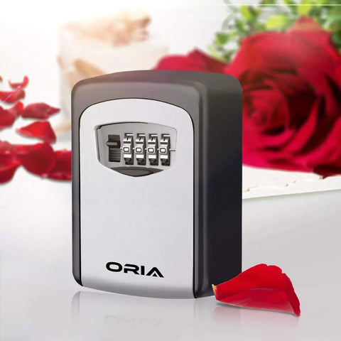 4 Digit Combination Key Lock Box Wall Mount with Resettable Code and 5 Key Capacity, heavy-duty alloy, rose petals in background