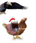 Eagle above chicken in Raptor Proof Chicken Saddle Vest With Long Bird Spikes And Reflective Tape, Predator Shield For Hens
