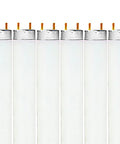 24 Inch T8 Fluorescent Tube Light Bulb 17W 5000K Bright White, 1350 Lumens, G13 Base, 6 Pack front view