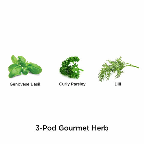 Genovese Basil, Curly Parsley, and Dill from Gourmet Herb Seed Pod Kit For Indoor Garden Systems Non GMO Seeds No Pesticides Easy Germination