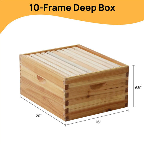10 Frame Langstroth Beehive With 100 Percent Beeswax Coating Includes Frames And Foundations In Two Deep Boxes 20x16x9.6 inches