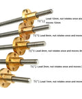 Beefed Up Lead Screw For 3D Printer With Copper Nut, 304 Stainless Steel Trapezoidal Thread, various leads shown