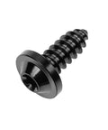 Frame Ready Grade 5 Titanium Self Tapping Screws M6 X 15Mm Black Fasteners for tough engine jobs, close-up view of screw.