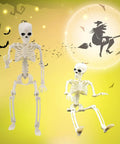 Indoor Halloween Skeletons Two Pack 15 Inch Life Size Full Body Posable Joints Skeleton Figures For Spooky Home Decor