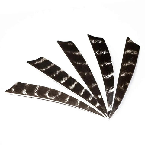 50 Pack Pro Grade Turkey Feather Fletching Right Wing Vanes For Arrows 4 Inch And 5 Inch Die Cut Bases