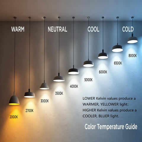 Color temperature guide with bulbs from warm 2000K to cold 8000K displaying lighting hues on a wall.