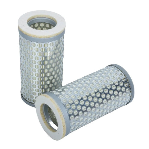 Two Pack Replacement Air Filter Element For Becker Vacuum Pumps DVT KVT KDT DTLF VTLF DVTLF DVXLF DXLF VXLF 909510 90951000000