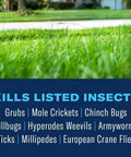 Close-up of lawn with text listing insects killed by Season Long Grub Control Granules That Kill Grubs Mole Crickets Cinch Bugs and More.