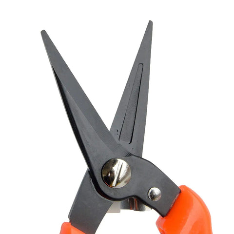 Close-up of All Purpose Hoof Trimming Tools For Goats Sheep Lamb Alpaca And Pig Hooves Carbon Steel Blades Pro Grade Nail Clippers