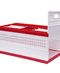 Foldable Plastic Transportation Pigeon Cage For Training And Racing 23.6 Inch Large Box With Three Access Doors And Ventilated Design