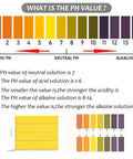 Color chart from DIY Friendly pH Test Strips Set with 3 Packs, 720 Strips Total, Universal Indicator, pH 1 to 14 scale visible.