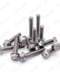 Premium Titanium Gr2 Hex Flange Head Bolts And Screws M4 M6 M8 M8 1.25 X 65mm Set Of 10 on a white background.