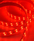 Five 5M RGB LED Strips Kit With IP67 Waterproof Silicone Sleeve, SMD5050 Double Row 120 LEDs Per Meter, glowing red light detail