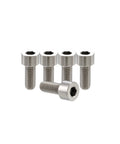 Rugged Aerospace Grade Titanium Bike Bolts M6X19mm Allen Hex Socket Set Of 10 Includes Washers showing five precision bolts.