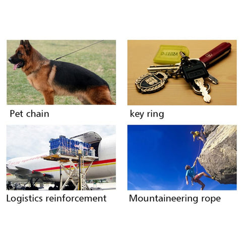 Collage image showing a dog with pet chain, set of keys on key ring, cargo plane with logistics reinforcement, and climbers using mountaineering rope.