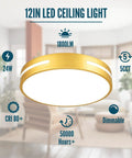 Close To Ceiling LED Flush Mount Light 12 Inch 24W With 5 CCTs highlighted features in a modern room setting