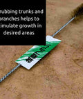 Long Reach Tree Cleaning Brush With Stainless Steel Bristles For Bark And Trunk Cleaning Jin Brush For Deep Scrub Handy Care Tool For Delicate Indoor And Outdoor Mini Trees, angled on trunk