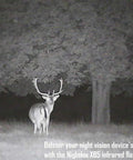 Infrared Night Vision Flashlight 850nm IR Illuminator For Night Vision Devices, 5W LED, forest scene with deer at night