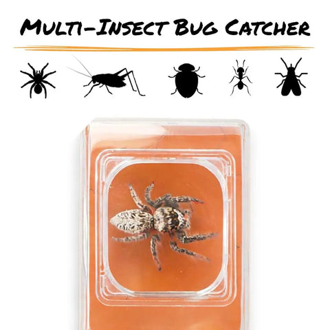 5x Magnifying Bug Catcher With One-Handed Quick Release Trap For Indoor Outdoor Exploration Kids And Adults STEM Learning Toy For Safe Bug Viewing And Easy Release, clear plastic