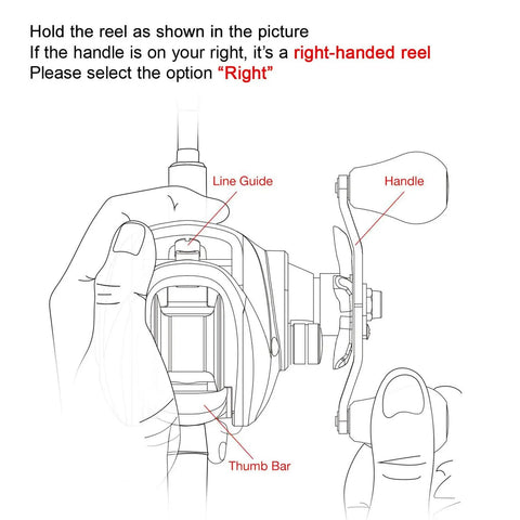 Illustration of right-handed Royale Legend II Baitcasting Reel With Compact Low Profile Design 17.64 LB Carbon Drag Cross Fire 8 Magnet Braking System Smooth Casting For Freshwater Fishing Sweet Gear Ratios In 5.4 To 1 And 7.2 To 1 showing handle and line guide