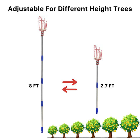 Adjustable 8 Ft Fruit Picker Pole With Large Metal Basket And Soft Pad, Lightweight Gardening Tool for different tree heights