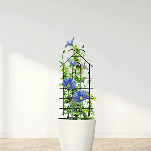 4 Pack 24 Inch Metal Garden Trellises For Climbing Plants Indoor Outdoor Black Trellis For Vines Flowers And Potted Houseplants Each 10 Inches Wide Great For Small Pots On Balconies Or Patios Indoors Or Outdoors And Rust Resistant Finish with blue flowers in white pot