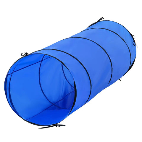 Backyard Dog Agility Training Kit with 78 inch blue tunnel for a fun safe puppy obstacle course