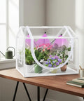 Indoor Mini Greenhouse Kit With Adjustable Led Grow Light And Timer Tabletop Garden Starter for beginners on wooden table.