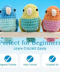 Beginner Crochet Kit For Amigurumi Birds Make 3 Mini Budgie Buds With Easy Peasy Step-By-Step Video Tutorial Yarn Hook Safety Eyes Stuffing Included Easy DIY Craft Kit Gift For Adults, displaying three colorful crocheted budgies.