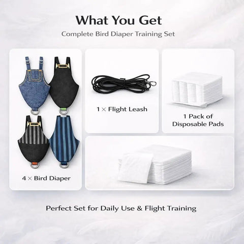 Indoor Pigeon Harness Kit With Reusable Diaper Pants And Flight Training Leash, 4 Pack, Adjustable XL, includes disposable pads