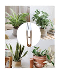 3 Pack 4.1 Inch Bonsai Pruning Scissors With Sharp Blade And Self Opening Spring displayed over images of potted plants