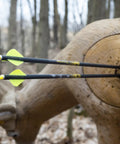 Arrows with bright vanes striking a 3D deer target outdoors, illustrating use for 2-Inch Shield Vanes In Pink, Pack Of 36 For Target And Field Archery, Bowhunting And Recreational Shooting, High-Vis Pink Color For Stable Arrow Flight And Precise Shots.