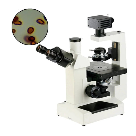 400X Trinocular Inverted Biological Microscope For Cell Culture And Tissue Study, Phase Contrast, Long Working Distance Objectives, 30 Degree Tilt Observation Tube, WF10X Eyepieces, Four Hole Converter, Ready For School Lab And Science Education, white lab microscope with cell image