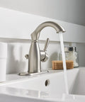 Sarona Spot Resist Brushed Nickel One Handle Bathroom Sink Faucet With Single Hole Design And Optional Deck Plate in rustic bathroom