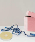Heavy Duty Strapping Tie For Machines And Box Packaging Pro Grade Fast Easy Packing Tape For Shipping next to pink box