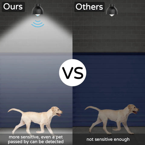 Comparison of No Brainer Motion Sensor LED Bulbs 13W 100W Equivalent and regular bulb illuminating a dog