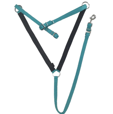 Nylon Padded Equestrian Browband Headstall With Reins And Breast Collar Set For Horse, Full Turquoise, durable design view.