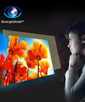 Woman looking at HD monitor with blue light filter showing vibrant flowers; Your Go-To 19.5 Inch HD Plus Monitor With 1600x900 Resolution.