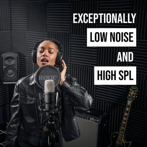 Person singing with Signature Series Large Diaphragm Condenser Mic With Shock Mount in soundproof studio, smooth frequency response visible.