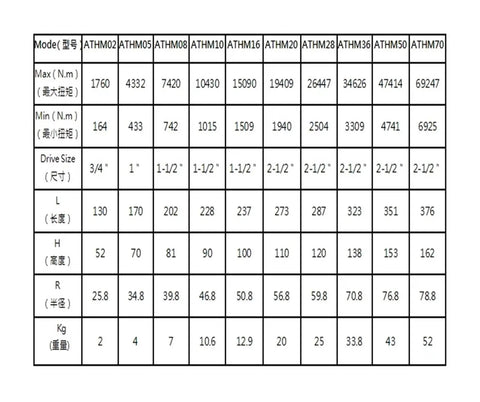Data table showing specifications of Heavy Duty Hydraulic Torque Wrench With Square Drive Electric Pump Built Like Iron.