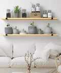 Badass Heavy Duty Metal Wall Shelf Brackets With Lip Slick Industrial Diy Floating Shelf Support System Black Anti Rust Finish 2 Pack holding plants.